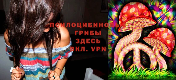 стафф Арсеньев